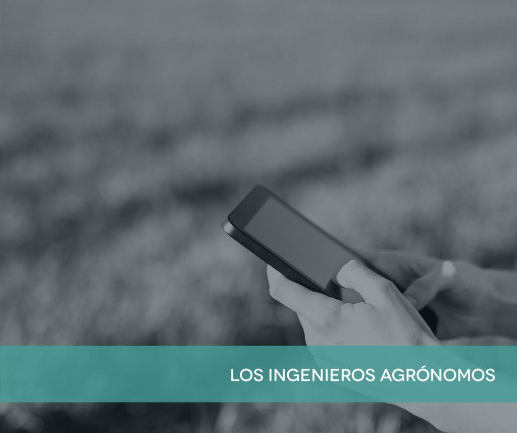 El ingeniero agrónomo es un profesional que se encarga de dirigir las explotaciones agrícolas, ganaderas o agroalimentarias