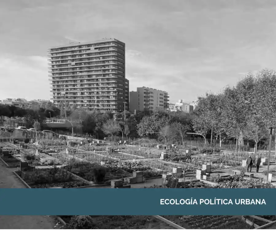 Cover Image for Ecología política urbana