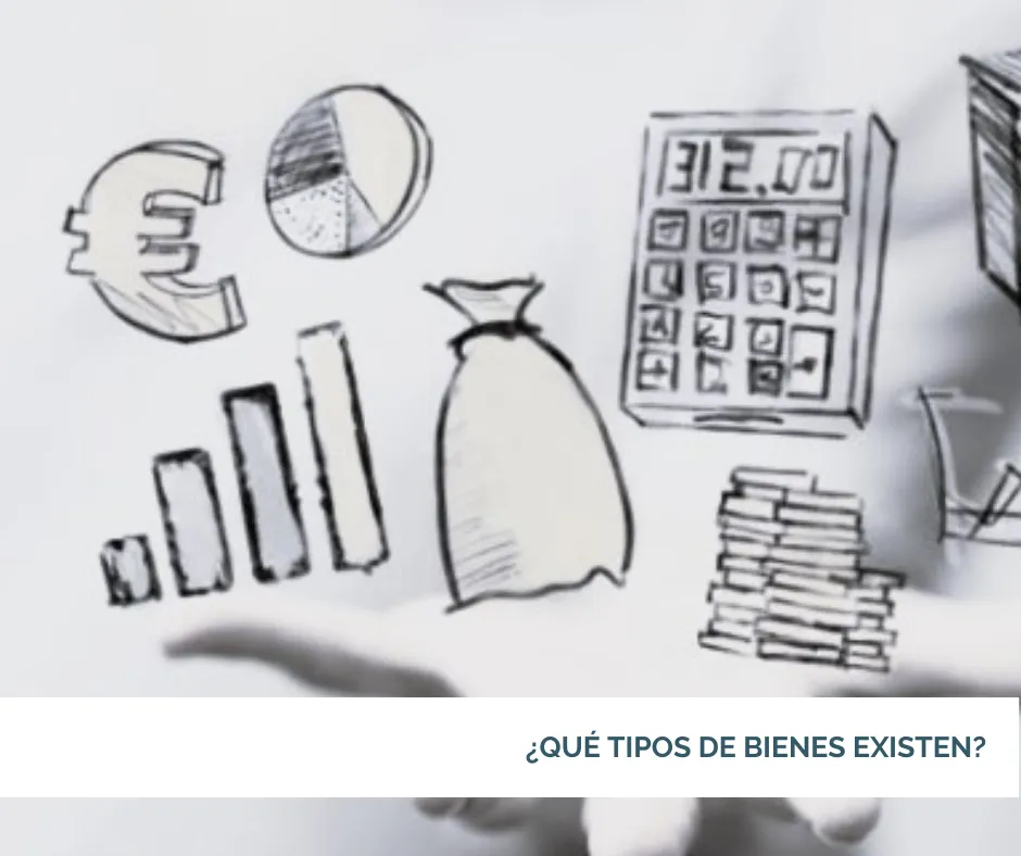 Tipos de bienes